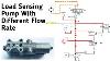 Load Sensing Pump With Different Flow Rate